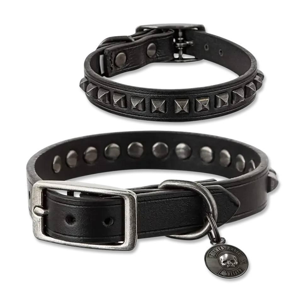Black Label Society SDMF kožený obojek s cvočky